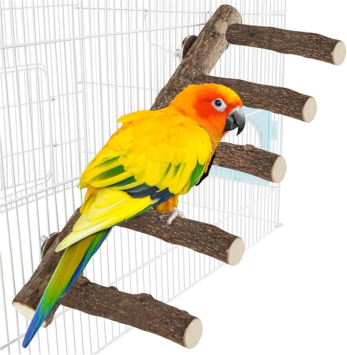 Parrot Wood Stand, Parrots Perch for Cage, Natural Bird Ladder for Small Medium Parrot, Parakeets, Cockatiels, Conures, Hamster(12.2 inch)