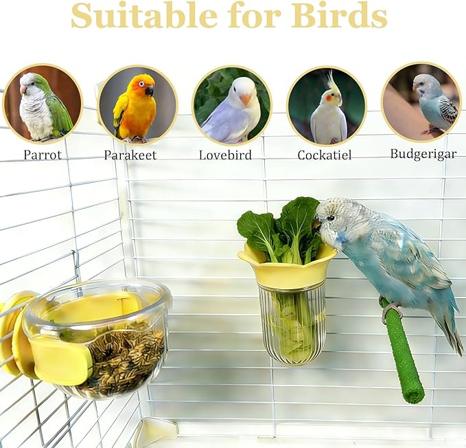 6 PCS Bird Cage Feeder for Vegetable Millet Holder Cage Accessories with Parrot Fruit Forks for Budgie Parrot Cockatiel Lovebirds (Yellow + Feeding Bowl)