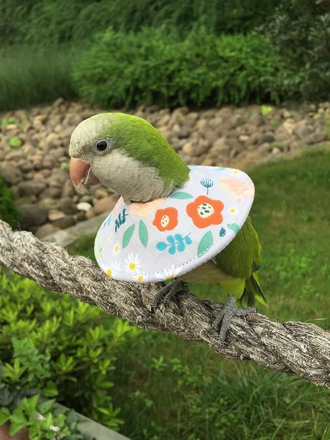 Adjustable Bird Collar - Recovery Collar Parrot Elizabeth Collar for Feather Plucking Feather Protector Shield with Soft Padded Cotton Neck Cone Anti-bite Anti-Licking Wound Healing (2M,Flower)