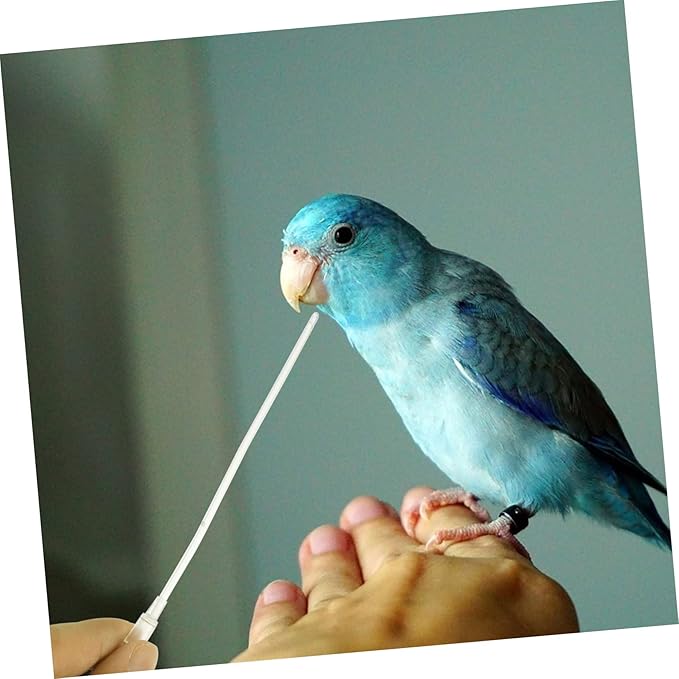 FRCOLOR 25 Pcs Baby Bird Hose Parakeet Food Pet Feeder Medicine Capsule Baby Birds Drinking Tool Parrot Hose Pigeon Feeder Connector Plastic Medication