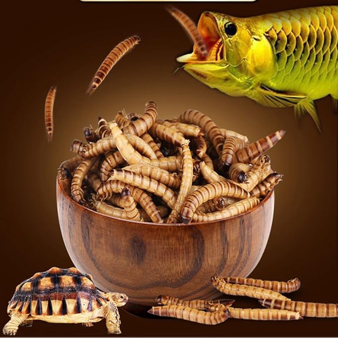 280g High Protein Turtle Food Mealworms Bulk Fresh Dried Mealworms Treats for Reptile Snacks Bird Chicken Fish Food