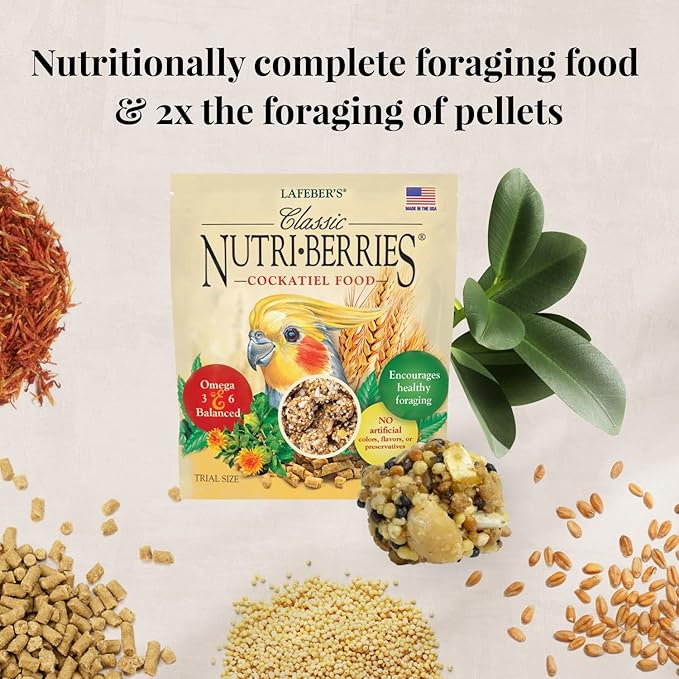 LAFEBER'S Foraging Fun Pack Pet Bird Food, Made with Non-GMO and Human-Grade Ingredients 5 oz (Cockatiel)