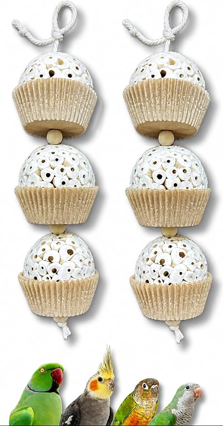 Shred and Destroy Bird Toy for Medium Birds - Conures, Cockatiels - Natural Sola Ball Hanging Chew Toy - 2 Pack - Boredom Buster Cage Toy
