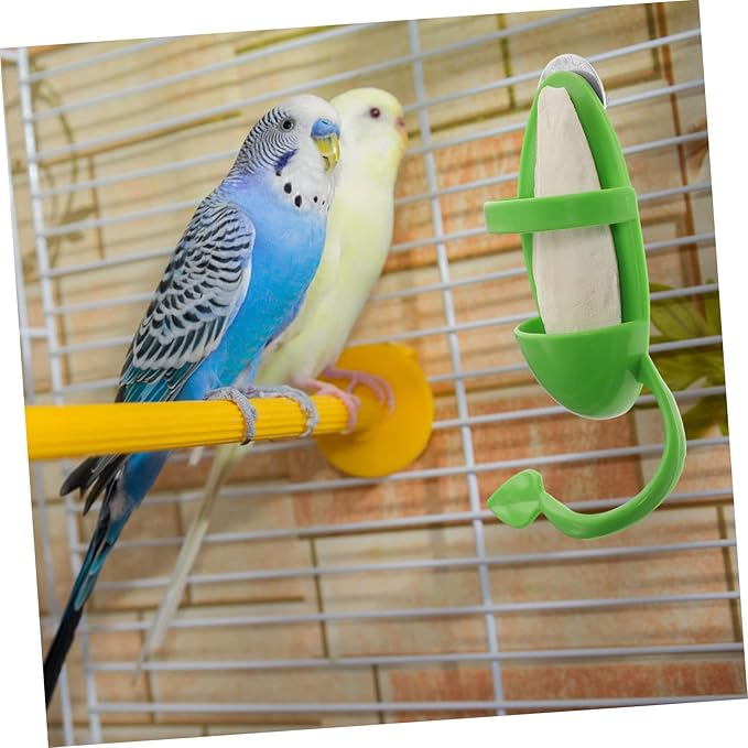 BESPORTBLE 1set Cage Bird Feeder Cuttlebone Stand Bird Cage Accessories for Parrots Snails and Pets Safe Non- Design for Easy Feeding and Entertainment