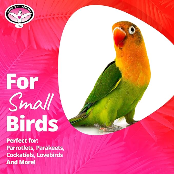 Super Bird Creations SB548 Vine Ring Tweeter Totter Bird Toy, Small Bird Size, 7" x 2.5"