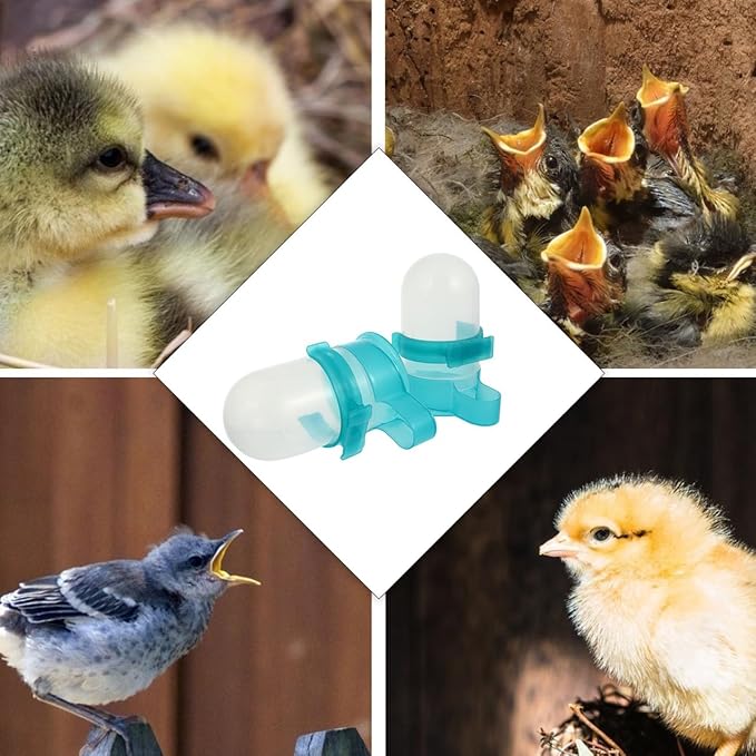 Kisangel 2Pcs Automatic Bird Water Feeder, Pigeon Bottle Water Drinker Clip Bird Cage Feeder for Budgie Cockatiel Lovebirds Decor