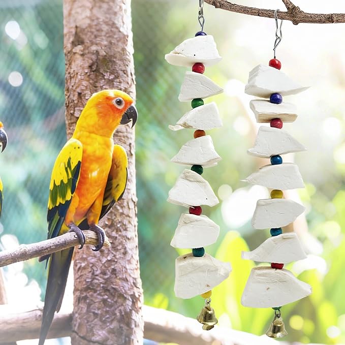 BNOSDM Bird Toys with Cuttlebone 4 Pack Hanging Cuttle Bone Chew Toys Natural Bird Beak Grinding Stone Parakeet Calcium Toys Bird Cage Accessories for Budgies Cockatiels Lovebirds Conures Parrots (7)