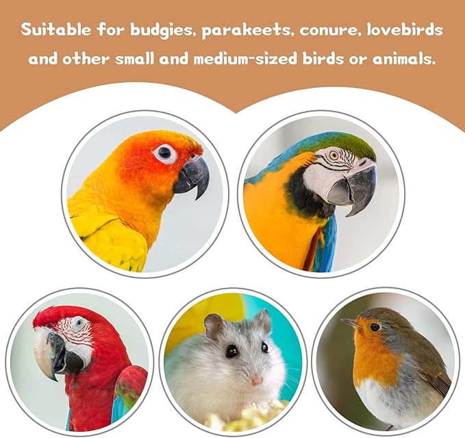 9 PCS Natural Wood Bird Perch, Wooden Parrot Perch Stand Bird Cage Branches Platform Accessories for Parakeets Cockatiels Conures Macaws Finches Love Birds