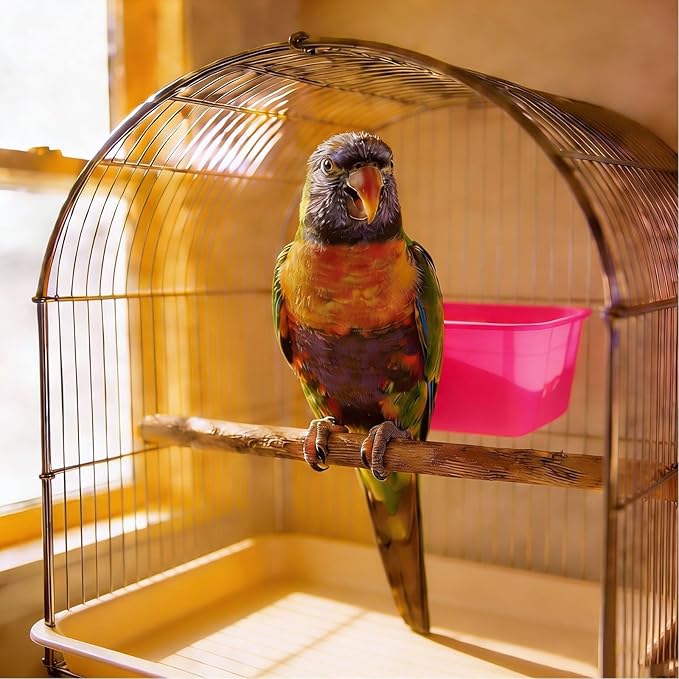 Cage Cups for Chickens 10 Pcs Hanging 25oz Feeder Waterer,Pink Food Bowl Coop Dish Water Dispenser Drinker Grit Container for Rabbits Birds Pigeon Duck and Small Animals