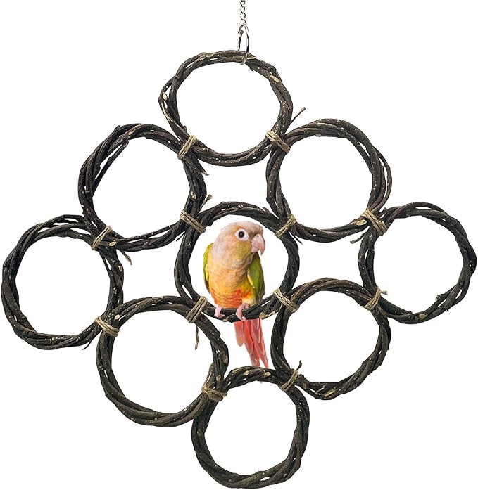 BNOSDM Bird Swing Rings Toy Natural Wood Parrot Climbing Ladder Parakeet Chewing Toys Hanging Budgie Cage Accessories for Green Cheek Conure Cockatiel Lovebird (9 Rings)