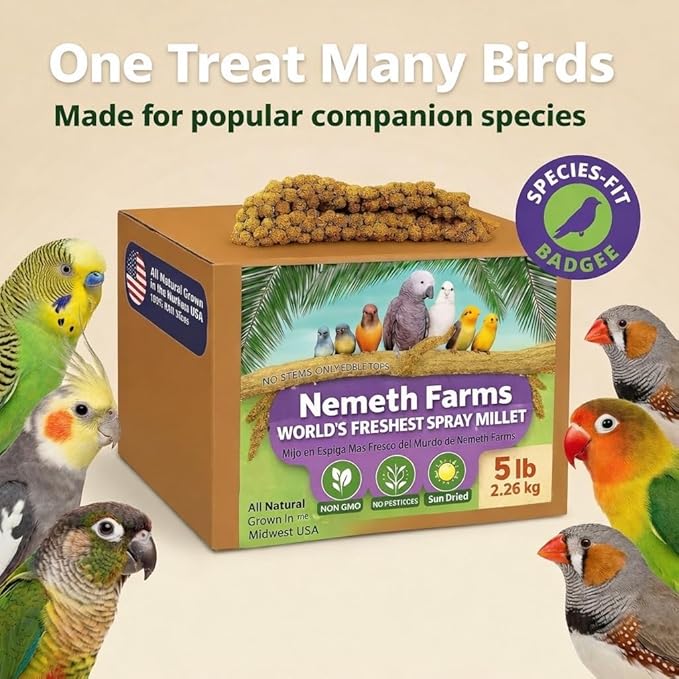 Nemeth Farms Spray Millet - Edible Tops Only, Non-GMO and Sun-Dried - 5 lbs for Parakeets, Conures and Cockatiels