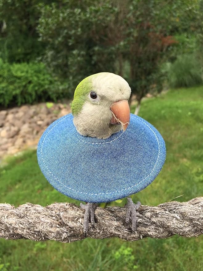Adjustable Bird Collar - Recovery Collar Parrot Elizabeth Collar for Feather Plucking Feather Protector Shield with Soft Padded Cotton Neck Cone Anti-bite Anti-Licking Wound Healing (L,Blue)