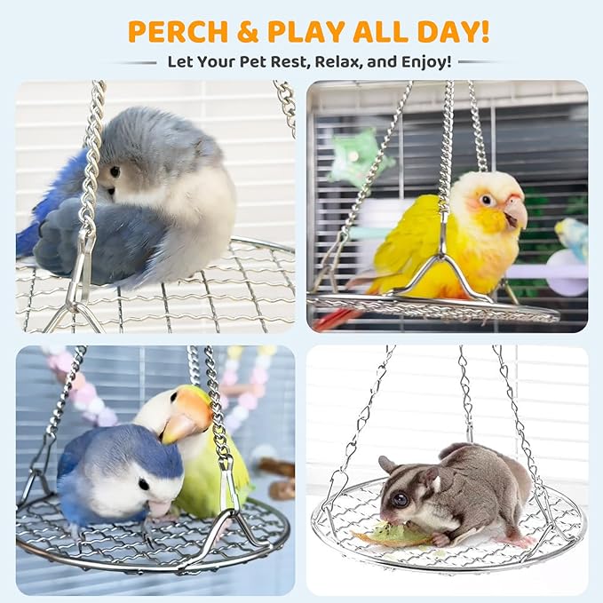 Bird Swing Perch Stainless Steel, Toy for Small Animal Parakeet Cockatiels Conures, Hanging Bird Cage Accessories to Balance Training for Budgies, Parrotlets, Rats, Hamsters, Sugar Gliders