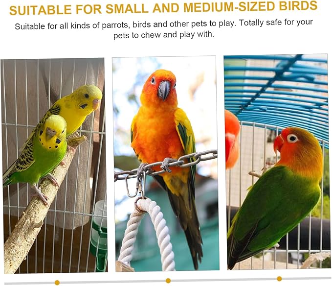 Stainless Steel Fruit Fork Toy Bird Feeder Accessory Parrot Skewer Bird Cage Supplies Easy to Use