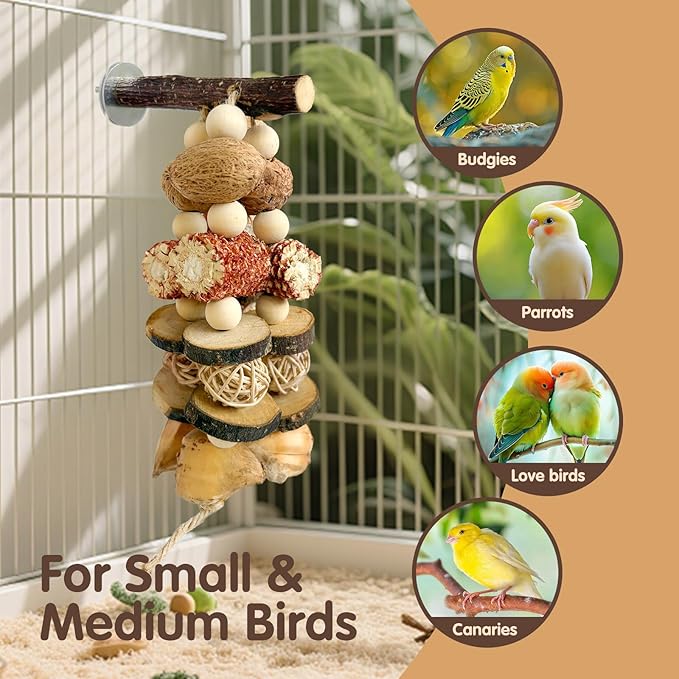 Bird Chew Toy - Natural Apple Wood Corn Cob Parrot Chew Toy, Multi-Functional Cage Hanging Foraging Toy for Budgies, Cockatiels, Conures, Lovebirds & Other Small Medium Birds