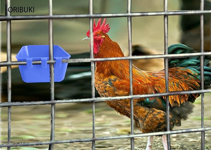10 Pack Chicken Feeder Waterer Hanging 16 OZ Rabbit Water Cup Cage Bird Food Dishes Pigeon Feeding Watering Bowl with Hooks Bunny Poultry Coop Drinker Quail Duck Seed Treats Dispenser