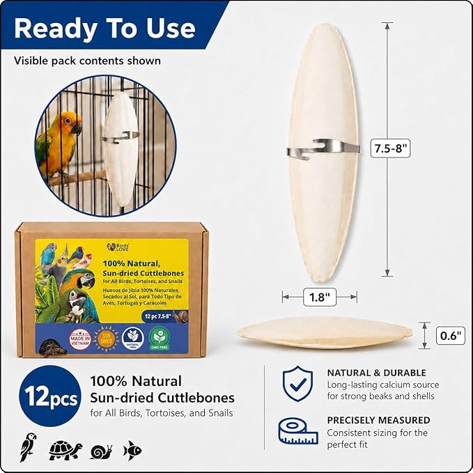 Birds LOVE 7.5-8" Cuttlebone for Birds – 100% Natural Sun-Dried Calcium Carbonate Mineral Supplement – for Parakeets, Budgies, Cockatiels, Finches & Canaries – 12 Pack with Holder – Made in Vietnam