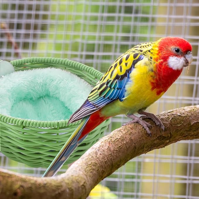 VTurboWay 1 Pack Bird Rattan Nest with 1 Pcs Nest Mat Egg Laying Bed Breeding House for Parrot Lovebird Cockatiel Budgerigar Finch Canary (Green)