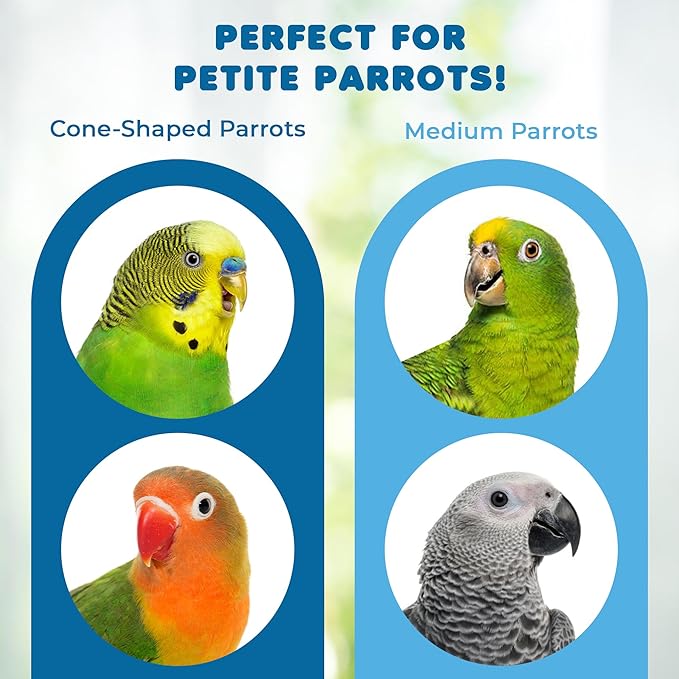 SunGrow Parrot Toy, Medium Chewing Bird Toy for Parakeet, Colorful Chew Toy for Cockatoos African Grey Macaws and Amazon Parrots