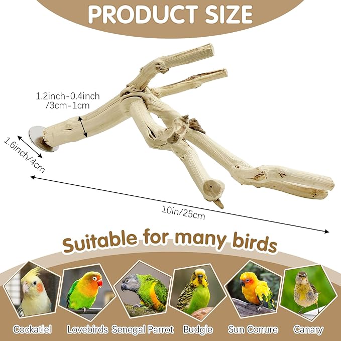 kathson Bird Perch Stand 10"-12" Nature Wood Stand Toy Parrot Cage Branch Paw Grinding Fork Parakeet Platform for Parakeets Cockatiels Conures Finches Love Birds（Small）
