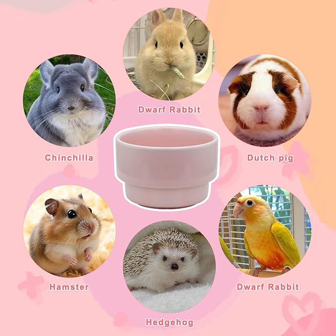 5 Oz Bird Cage Feeder, Detachable Hanging Ceramic Bird Bowls for Cage Prevent Tipping and Movement, Small Animal Bowls for Hamsters, Parrots, Squirrels, Rabbit (White-A)
