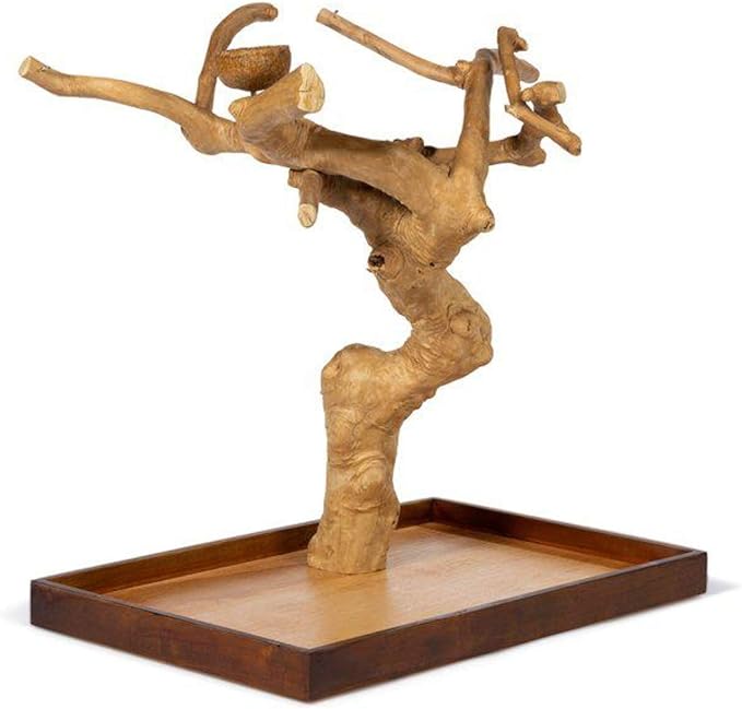 Coffeawood Tree Mini Table Top (Large)