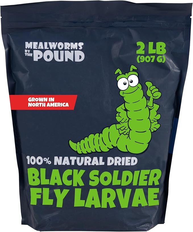 North American Grown Dried Black Soldier Fly Larvae (2 lbs) - More Calcium Than Mealworms - Treats for Chickens, Wild Birds, & Reptiles