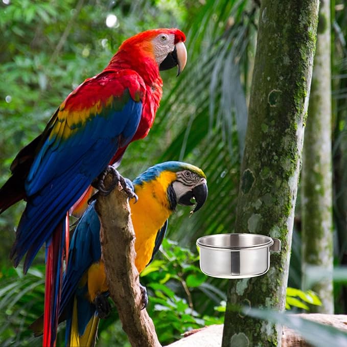 Stainless Steel Parrot Feed Cup Bird Food Bowl with Brackets 4-Pack for Cage Feeding Parakeet Cockatiel Conure Budgie 4.92X3.93X3.54In