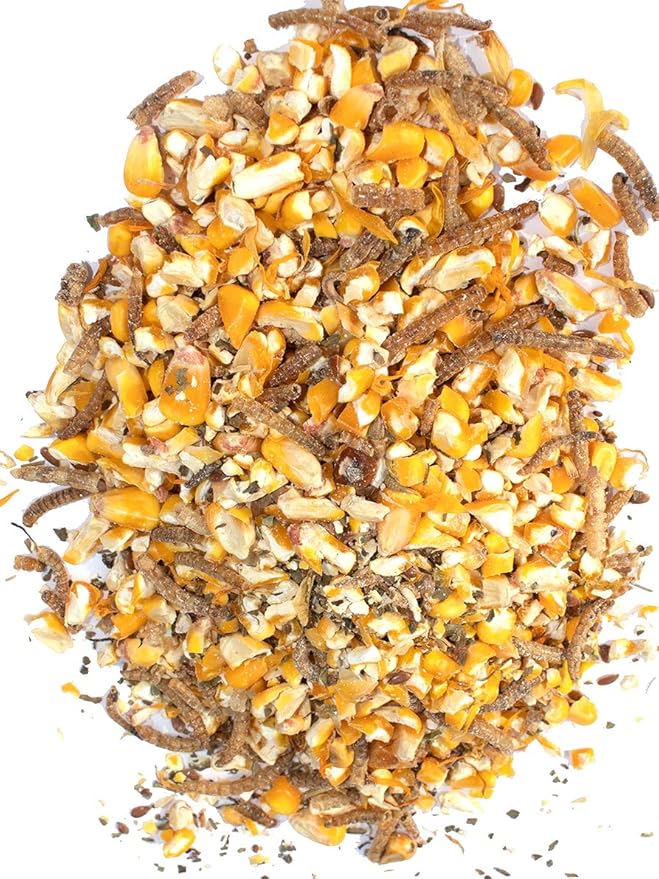 Pampered Chicken Mama Mealworm, Black Soldier Fly Larvae, Corn, Flax, & Herb Treat (10 Pounds) for Backyard Chickens, Healthy Layer Feed & Supplies for Pet Chickens Poultry Queen Treat for Hens