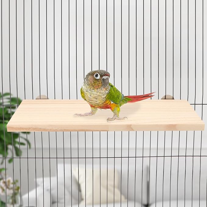 Wontee Bird Perch Stand Wooden Platform for Cockatiels Conures Rats Gerbils Chinchillas Squirrels (M)