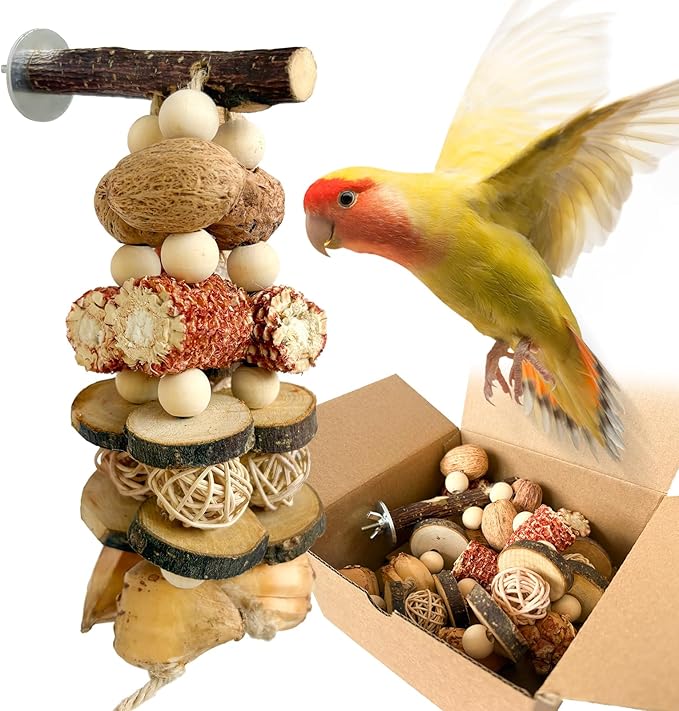 Bird Chew Toy - Natural Apple Wood Corn Cob Parrot Chew Toy, Multi-Functional Cage Hanging Foraging Toy for Budgies, Cockatiels, Conures, Lovebirds & Other Small Medium Birds