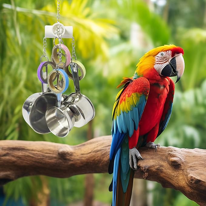 LWINGFLYER Stainless Steel Parrot Toys, Pullable Stainless Steel Cup and Cardboard Ring Toys Hanging Chew Bird Toys for Large Parrots，African Grey, Amazon Parrots