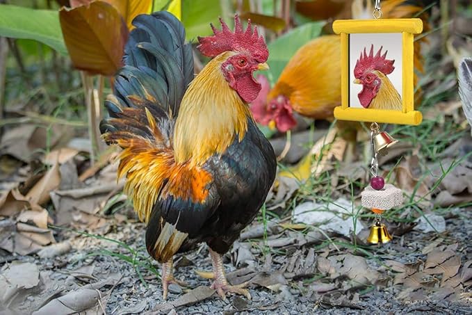 2Pcs Chicken Mirror Toys for Hens Hanging Swing Mirror Toys with Bells and Beak Grinding Molar Stones for Roosters Hens Birds Parrots (Yellow and Red)