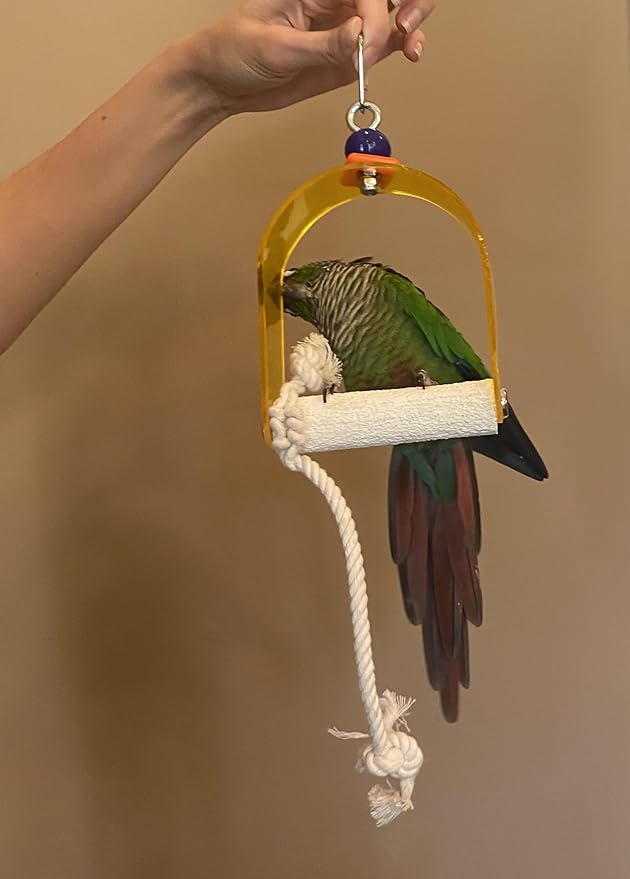 Polly's Arch Swing-Nail Trimming Bird Swing for Cages-Great for Parrots Including Parakeets, Cockatiels, Amazons, Macaws, and Cockatoos. (X-Small)