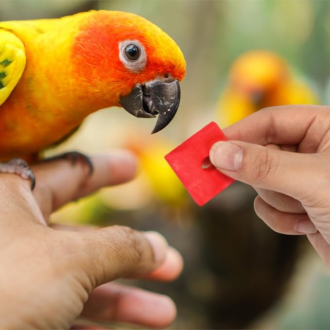 Sumind 80 Pieces Bird Toy Wooden Blocks Parrot Chewing Toys Mini Wood Chips Small Animals Cage Accessories for DIY Playing Chewing Shredding Mixed Large Bird Toys, Random Color