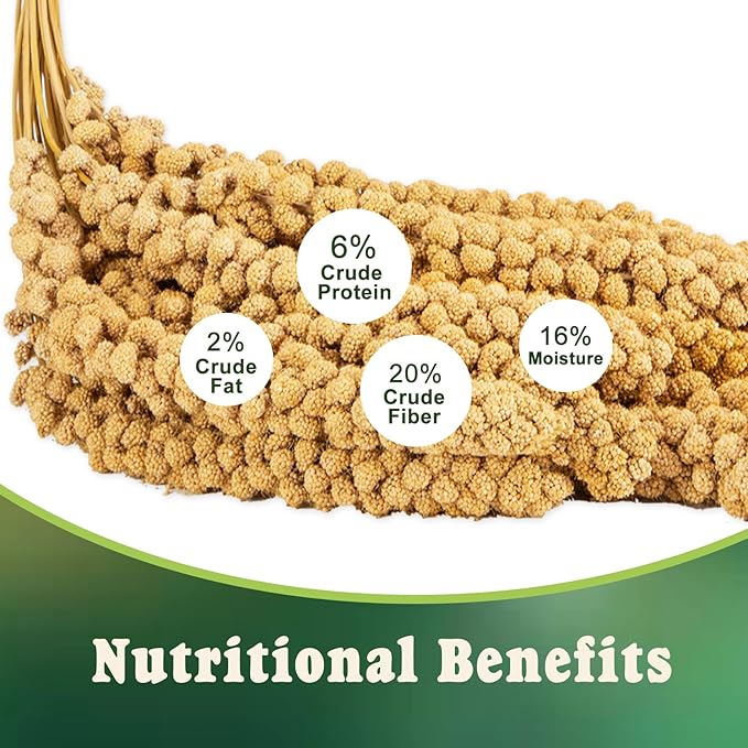RANZ 5LBS Spray Millet Treat for Pet Birds, Hand-Harvested Bird Snack, Natural Sun-Dried Millet Spray for Parakeets, Parrots, Cockatiels, Lovebirds, Budgies, Finches, Canaries