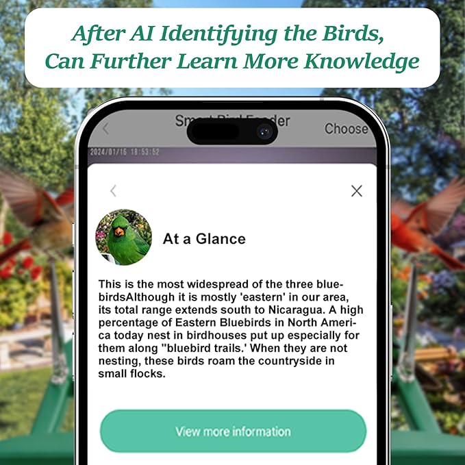 Bird Feeder with Camera,2K Live View,WiFi Smart Bird House with Cam Solar Powered for Outdoor,Night Vision,AI Identify,Auto Record Video,Real-Time App Alerts,Birdwatching Gifts for Family,Birds Lover