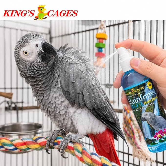 King's Cages Rainforest Mist Spray African Grey 8 oz. Feather Conditioning Spray with Baby Powder Scent for Medium Bird Breeds Skin Relief and Plumage Care