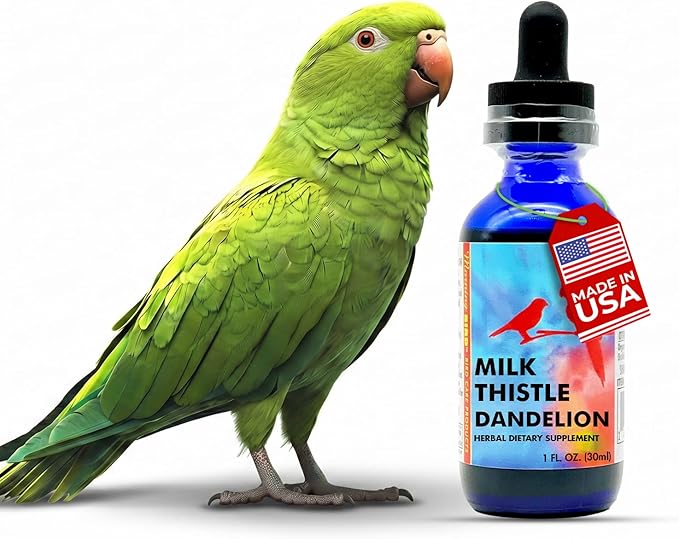 Morning Bird Milk Thistle & Dandelion Extract 1 fl oz – Organic Herbal Supplement for Birds – Supports Liver Health & Natural Detox – Suitable for All Bird Species