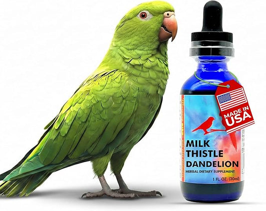 Morning Bird Milk Thistle & Dandelion Extract 1 fl oz – Organic Herbal Supplement for Birds – Supports Liver Health & Natural Detox – Suitable for All Bird Species