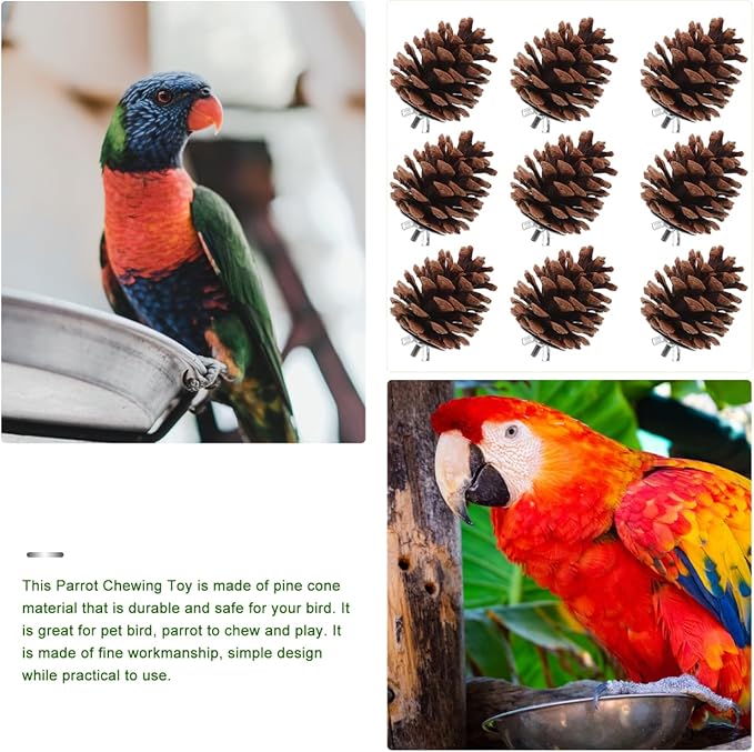 LIOOBO 10 Pcs Natural Pine Cones Bird Toys, Parrot Chew Toy for Cage, Wood Foraging Shredding Playthings Conure Cockatiel Parakeet African Grey Macaw Nut Fixed