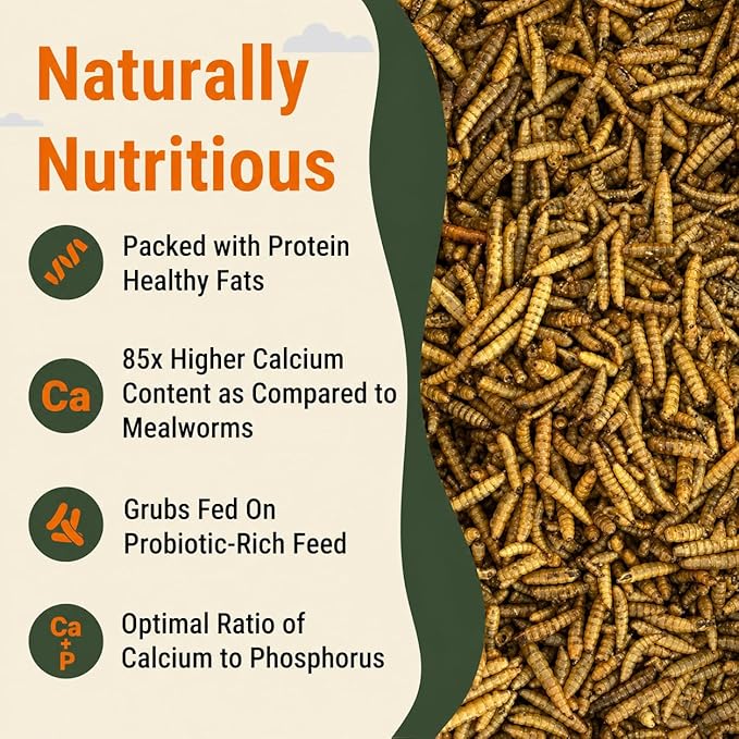 Dried Black Soldier Fly Larvae for Chickens, 85X More Calcium Than Mealworms, High Protein BSF Grub Chicken Feed Treats for Poultry, Hens, Ducks and Wild Birds, 10lb