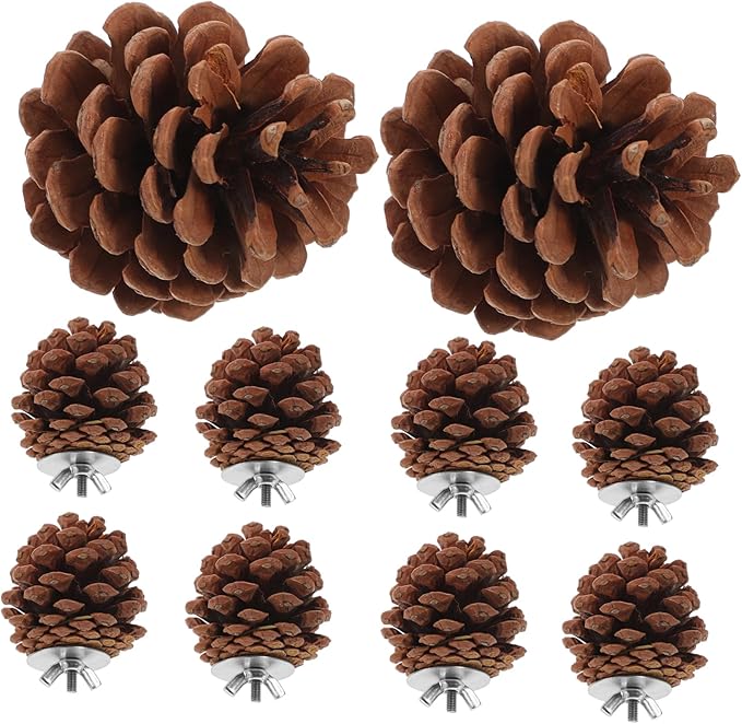 LIOOBO 10 Pcs Natural Pine Cones Bird Toys, Parrot Chew Toy for Cage, Wood Foraging Shredding Playthings Conure Cockatiel Parakeet African Grey Macaw Nut Fixed