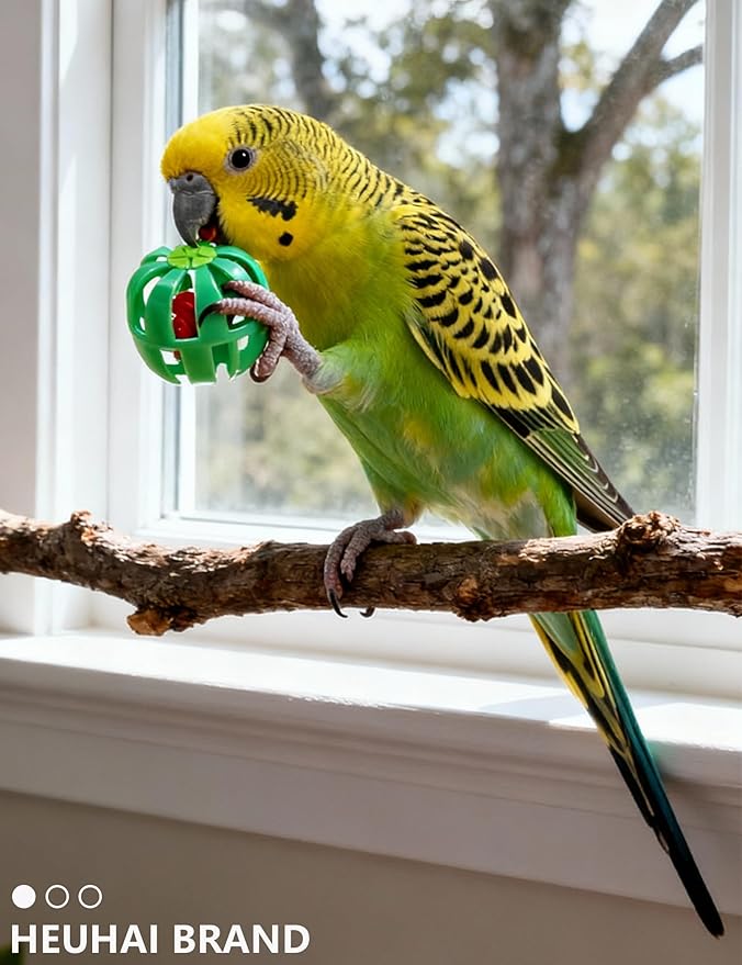 Bird Toys for Parrots & Parakeets - 12 Pack Colorful Bell Balls - Safe Chew, Foot & Activity Toys for Small & Large Birds (1.6'' - 2.8'')