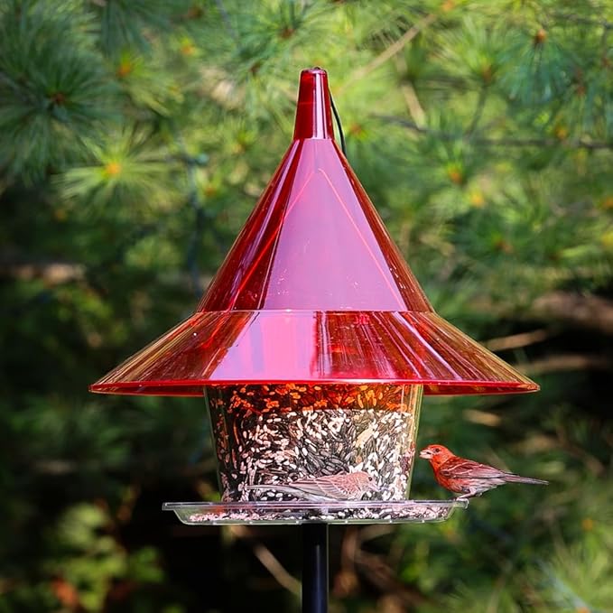 Sky Cafe Squirrel Proof Bird Feeder for Outside - Very Large, 17 in. Diameter, 1.5 Gallon Birdseed Capacity - Made in USA (Ruby Red) - Free Squirrel Mug