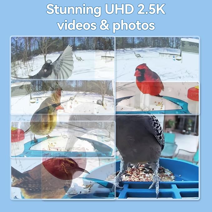 Smart AI Bird Feeder with Camera,2.5K HD Live View,Solar Powered,Instant Birds Species Recognition,Real Time Alerts,Wireless Birdhouse with Night Vision,Ideal Gift,Green