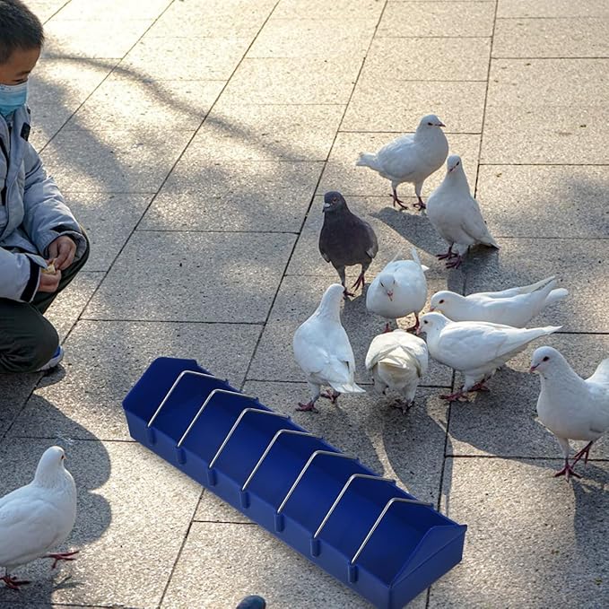 BESPORTBLE Thickened Plastic Food Tank for Birds Versatile Feeding Trough with Multiple Slots for Pigeons Parrots and Small Birds - Easy to and Maintain (15.24X4.13X3.15 Inch)
