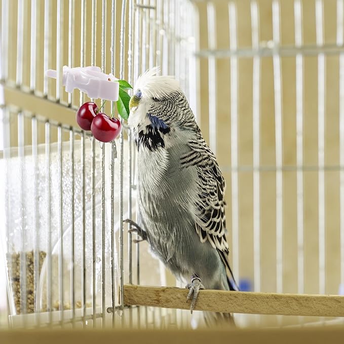 10 Pieces Bird Cage Food Clips Bird Cage Food Holder Parrot Fruit Vegitable Bracket Pet Feeder Clip Accessory for Parakeet Budgie Cockatoo Macaw Cockatiel and Other Animals