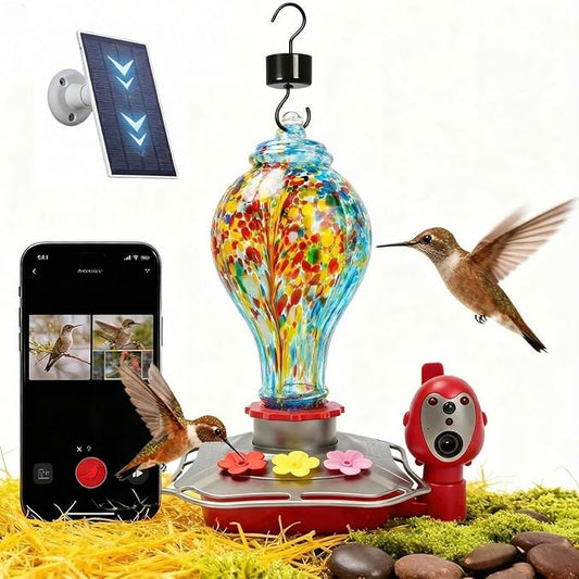 Hummingbird Feeder with Camera, Smart Glass Humming Bird Feeder Camera Solar Powered, AI Identify and Instant Notifications, 2K Live View, Leak-Proof Ant & Bee Proof