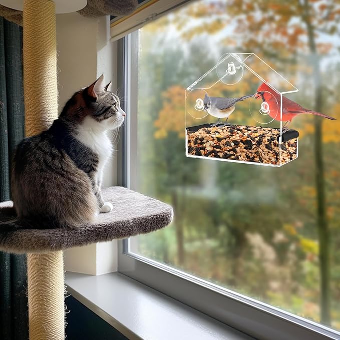 Outdoor Window Bird Feeder for Cats Viewing - Clear Bird Feeder with Strong Suction Cup, Cat Perch Accessories for Entertaining Watching, S